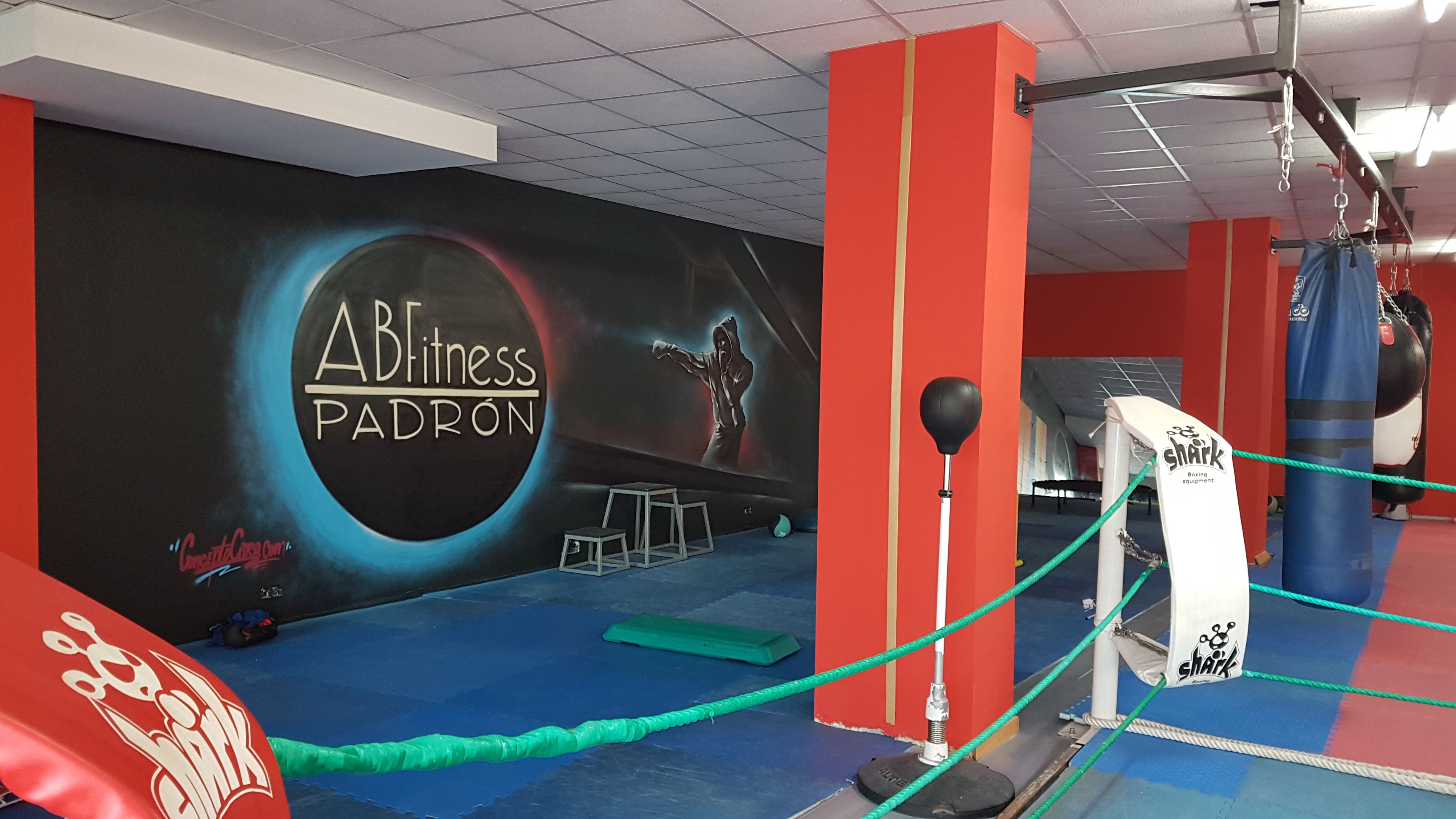 Sala de musculación Abfitness Padrón